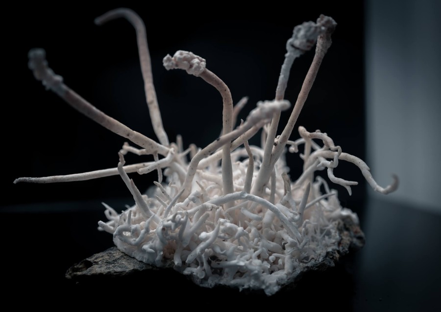 Mineral from the Hohe Tauern